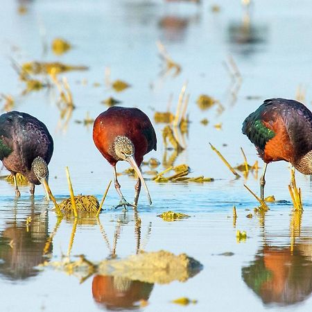 Casa De Los Pajaros Севілья Екстер'єр фото