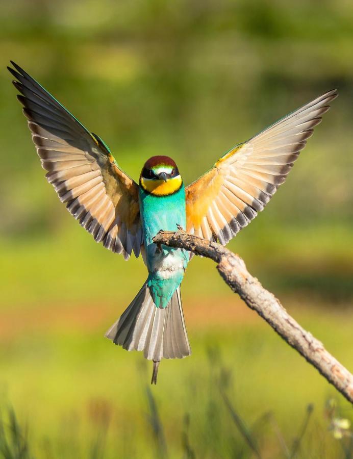 Casa De Los Pajaros Севілья Екстер'єр фото